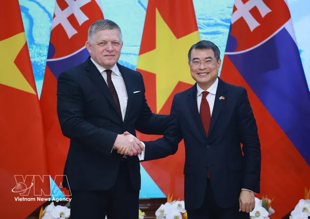Vietnamese, Slovak PMs witness exchange of documents, chair joint press briefing - Ảnh 1.