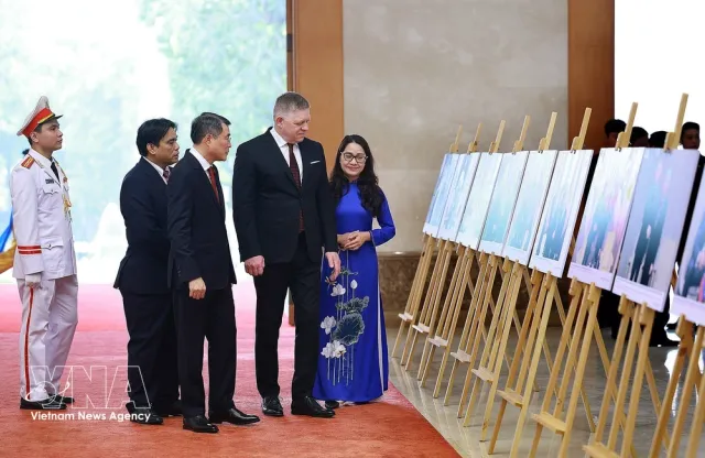 Vietnamese, Slovak PMs witness exchange of documents, chair joint press briefing - Ảnh 2.