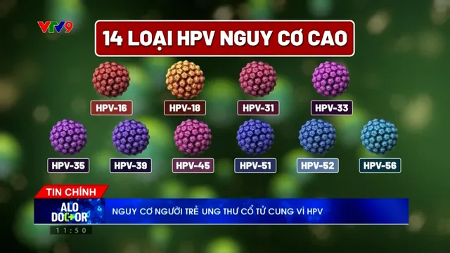 Alo Doctor (09/5/2026): Nguy cơ lây lan virus Hanta mở mức thấp