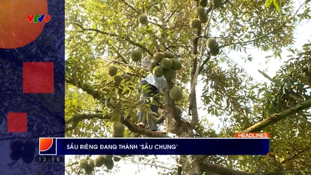 Thời sự: Phương Nam hôm nay (09/5/2026)