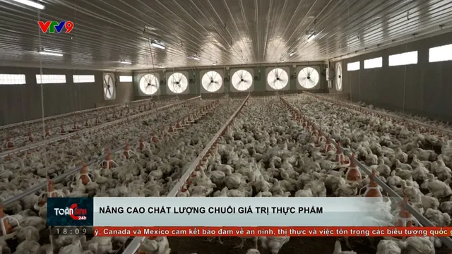 Nâng cao chất lượng chuỗi giá trị thực phẩm