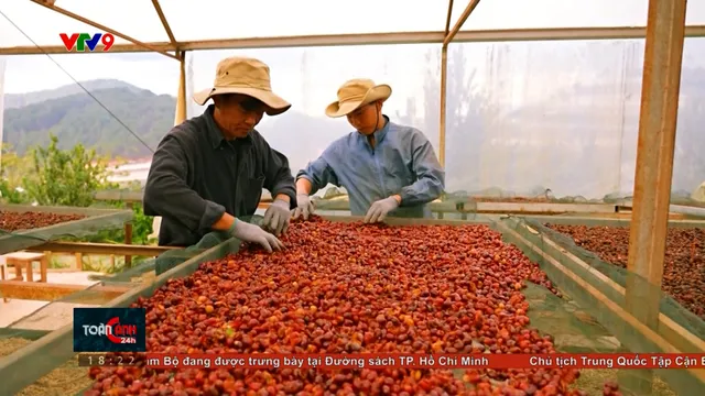 Tuân thủ ESG rộng cửa tiếp cận vốn cho doanh nghiệp