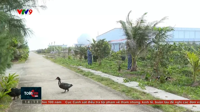 Xanh hoá Trường Sa, lan toả màu xanh bình yên