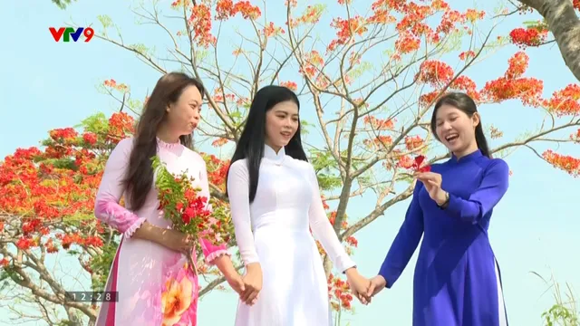 Rực rỡ mùa hoa phượng