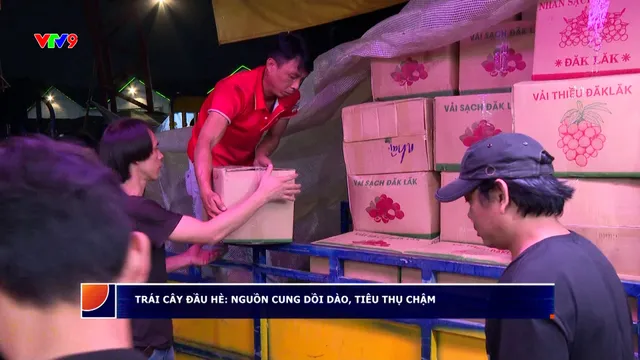 Trái cây đầu hè: Nguồn cung dồi dào, tiêu thụ chậm