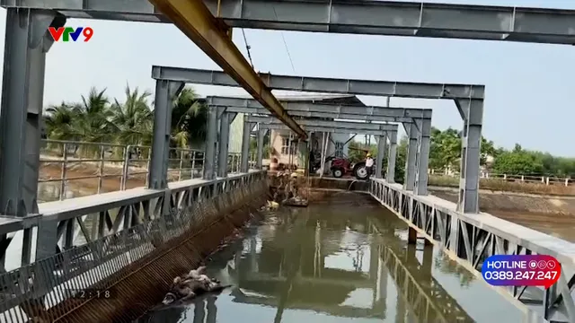 Alo V9 (23/5/2026): Tình trạng vứt xác động vật vào nguồn nước sinh hoạt