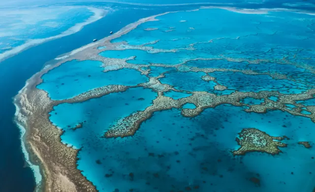 Cá mập tấn công gây chết người ở Australia- Ảnh 1. Cá mập tấn công gây chết người ở Australia- Ảnh 1.