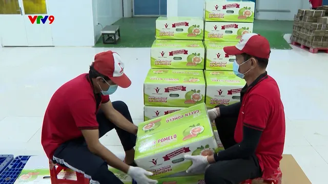 Đường dây nóng AloV9 (26/5/2026): Lừa đảo đơn hàng nông sản