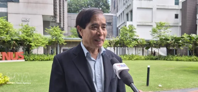 Vietnam key player in regional, global affairs: expert - Ảnh 1.