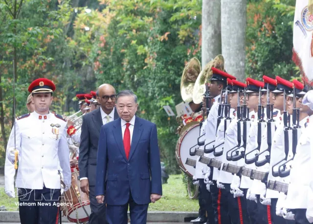 Singapore holds official welcome ceremony for Vietnamese Party and State leader - Ảnh 1.