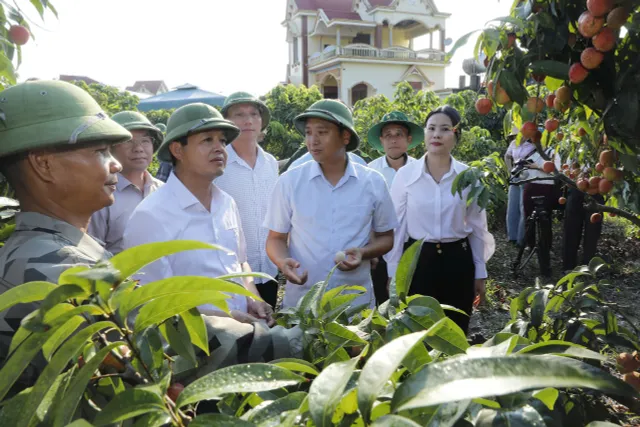 Bắc Ninh đưa vải thiều vươn xa - Ảnh 2.