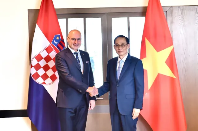 Vietnam always treasures bilateral relations with Croatia: FM - Ảnh 1.