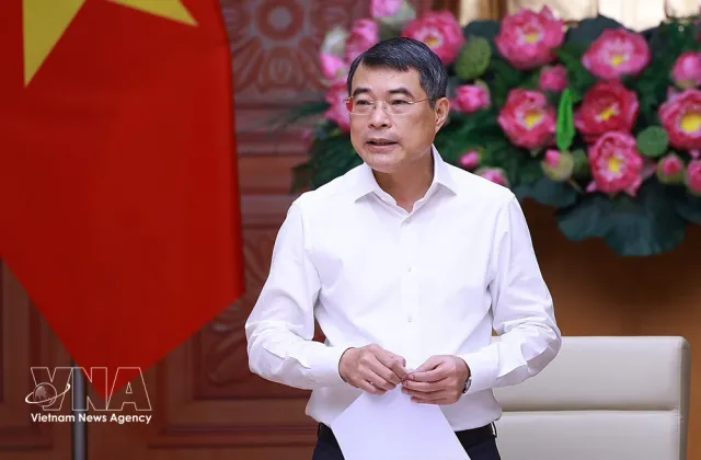 PM asks for comprehensive overhaul of foreign affairs - Ảnh 1.