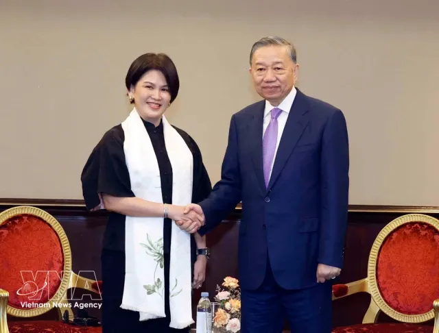 Vietnam’s top leader receives Philippines-based organisations, businesses - Ảnh 3.