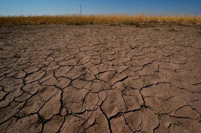 El Nino chính thức xuất hiện, ảnh hưởng khác nhau tại từng khu vực - Ảnh 1.