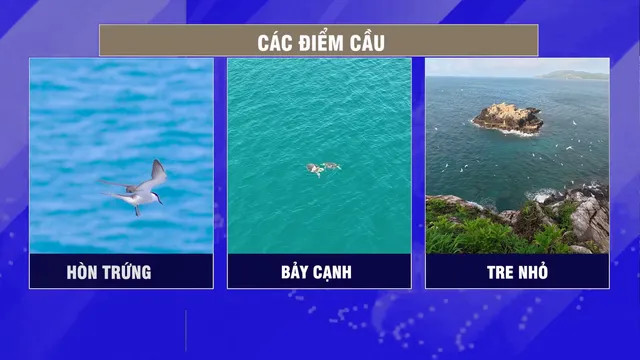 VTV Launches “Vietnam Wild Live”: Vietnams First Live Wildlife Broadcast - Ảnh 4.