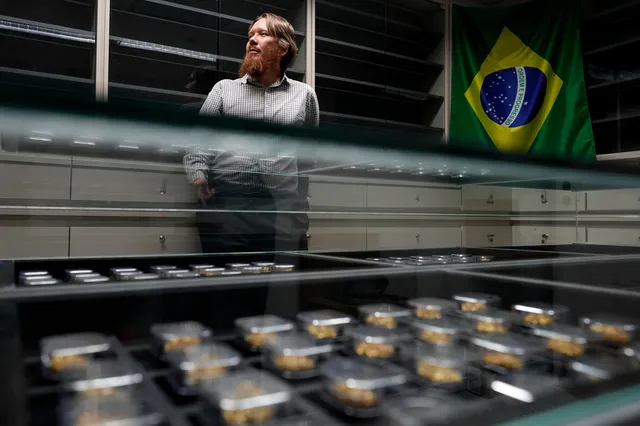 Brazil dùng “dấu vân tay địa chất” truy nguồn vàng lậu- Ảnh 1. Brazil dùng “dấu vân tay địa chất” truy nguồn vàng lậu- Ảnh 1.