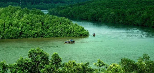 Du lịch TP Hồ Chí Minh chuyển đổi xanh để phát triển bền vững - Ảnh 4.