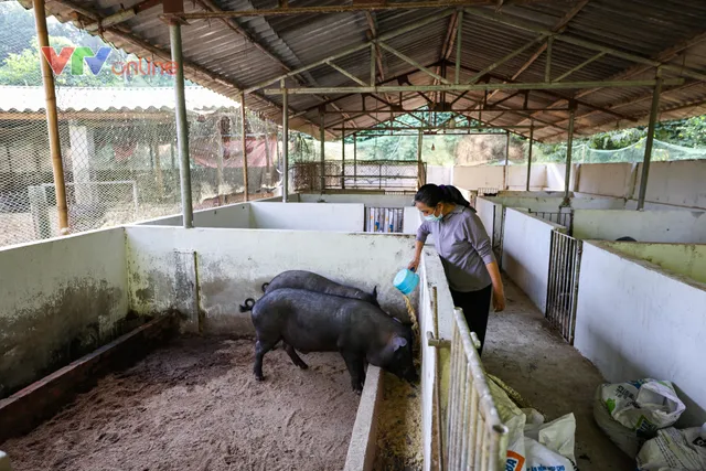 Khoa học, công nghệ nâng giá trị nông sản Tuyên Quang - Ảnh 1.