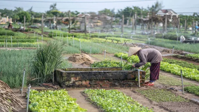 Meaningful travel in Vietnam: Destinations where tourism benefits local communities - Ảnh 1.
