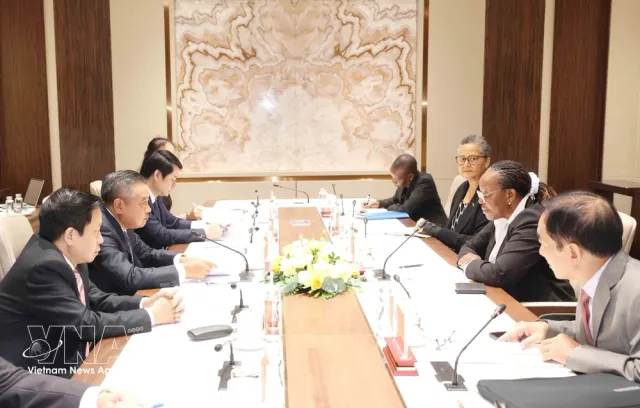 Vietnam shares inspection experience with FRELIMO Party delegation - Ảnh 1.