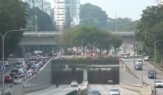 Singapore phủ xanh công trình giao thông- Ảnh 1.
