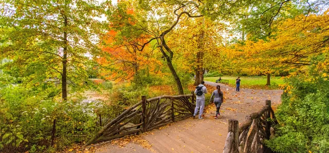 Central Park thay áo mới giữa lòng New York- Ảnh 2.