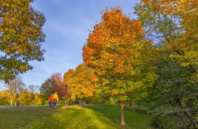 Central Park thay áo mới giữa lòng New York- Ảnh 4.