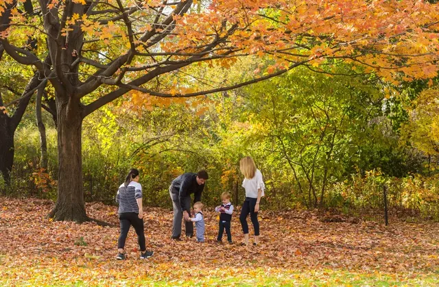 Central Park thay áo mới giữa lòng New York- Ảnh 5.