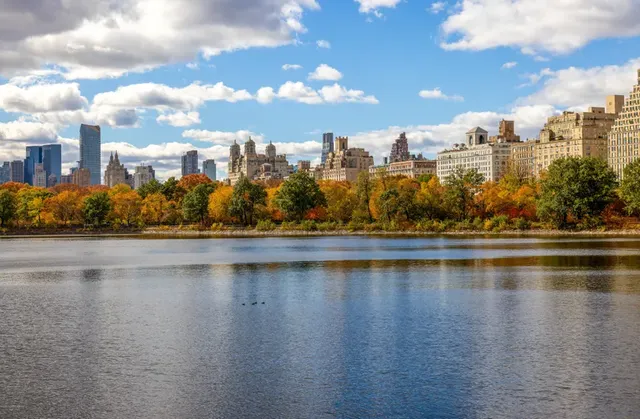Central Park thay áo mới giữa lòng New York- Ảnh 1.