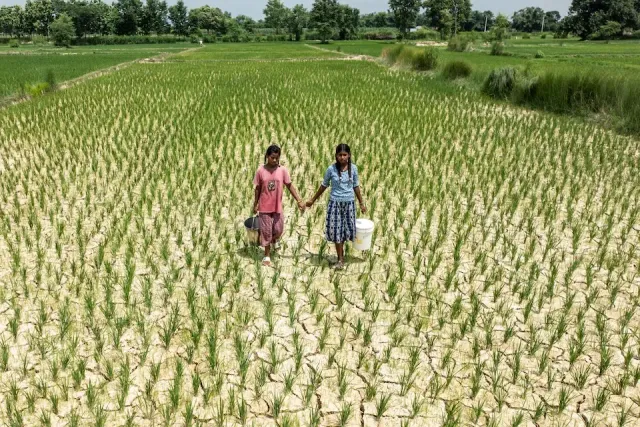 Hơn 347 triệu trẻ em có nguy cơ chịu tác động của El Nino mạnh- Ảnh 1. Hơn 347 triệu trẻ em có nguy cơ chịu tác động của El Nino mạnh- Ảnh 1.