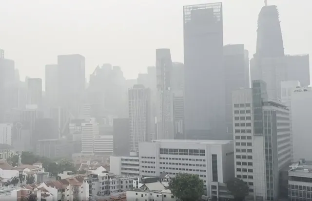 Khói mù cháy rừng bao trùm Indonesia, Singapore - Ảnh 1.