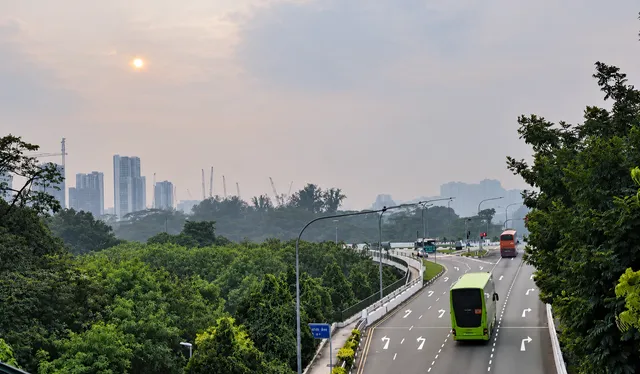 Singapore thành lập lực lượng đặc nhiệm ứng phó khói mù - Ảnh 1.