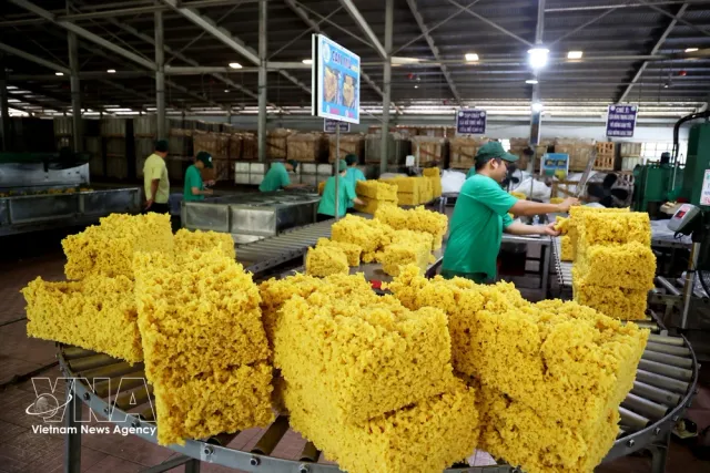 Vietnam seeks greater control over global agricultural value chains - Ảnh 1.