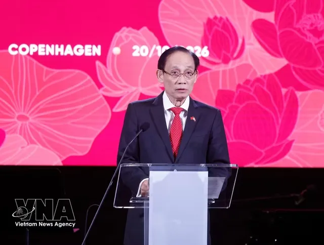 Top leader calls for stronger links between Denmark’s strengths and Vietnam’s potential- Ảnh 2.
