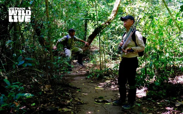 Có gì đặc biệt trong "Vietnam Wild Live" mùa 2? - Ảnh 2.