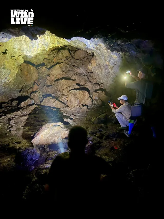 Có gì đặc biệt trong "Vietnam Wild Live" mùa 2? - Ảnh 1.