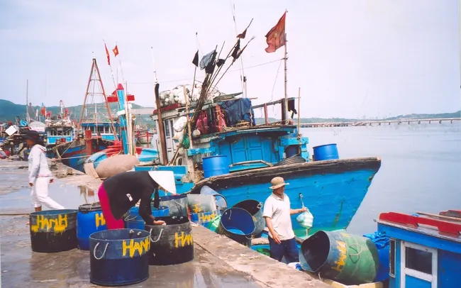 (Photo illustrated: fistenet.gov.vn)
