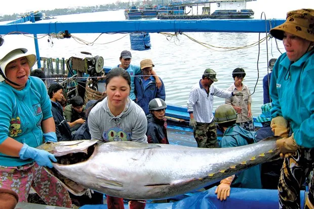 (Photo: Bao Tai nguyen moi truong)