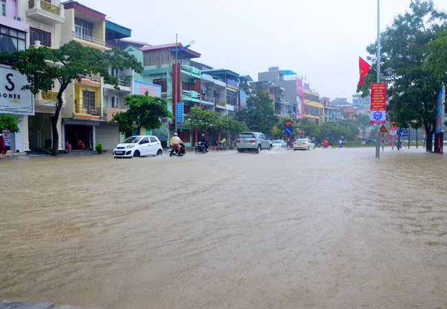 Photo: Bao Quang Ninh