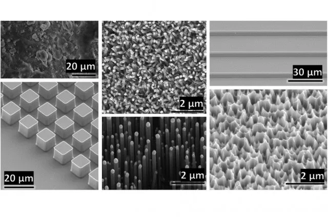 Images of the material samples used in the experiments