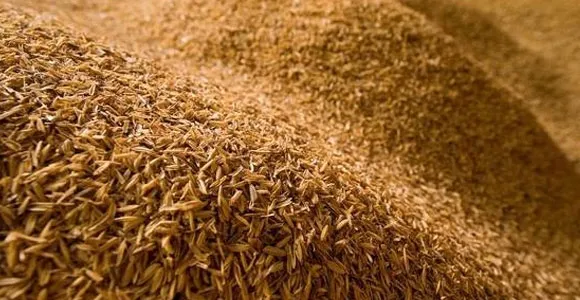 More than 500 tonnes of compressed rice husks are produced as fuel for factories in Phong Dien district