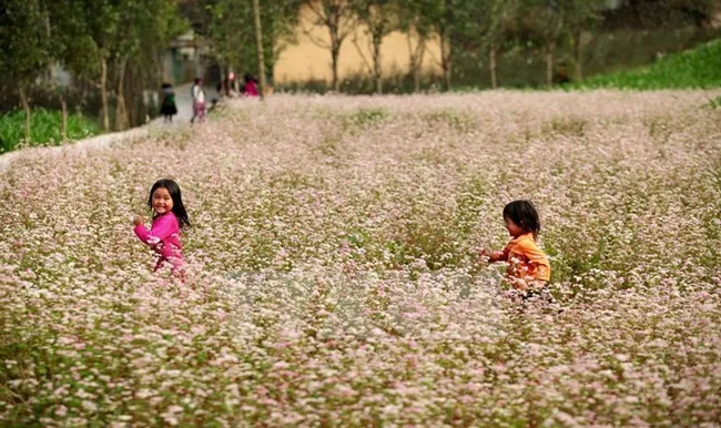 Children play at a Tam Giac Mach field in Sung La commune of Dong Van district (Photo: VNA)
