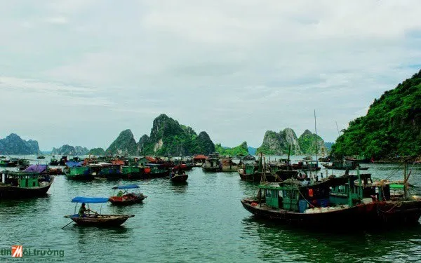 Measures taken to manage Vietnam's coastal areas (Photo: tinmoitruong)