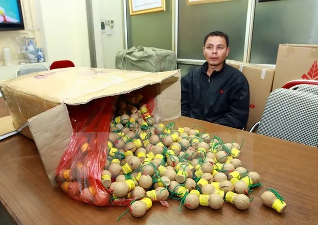 A suspect is arrested for firecracker smuggling (Source: VNA)
