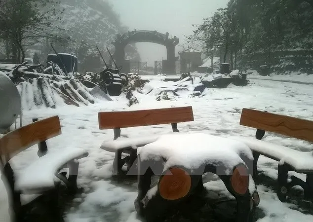 ​Snow ​in Sa Pa city, northern Lao Cai province (Photo: VNA)