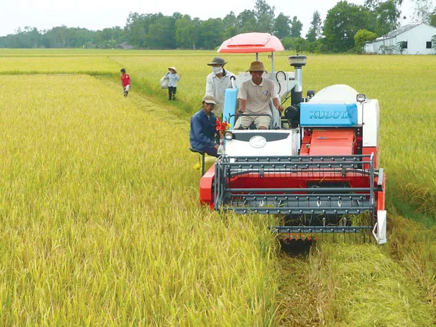 (Photo illustrated: Vietnamnet)