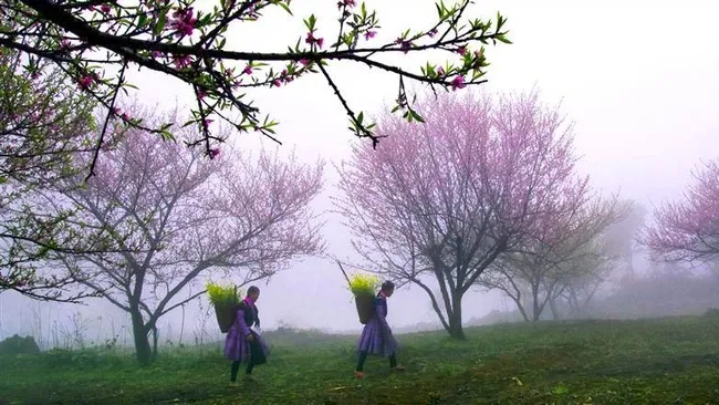 Entries to the exhibition should feature the Vietnamese land and people (Photo credit: Le Ngoc Huy/ Source: vapa.org.vn)