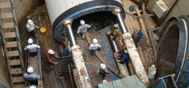 (Photo illustrated: amchamvietnam.com)