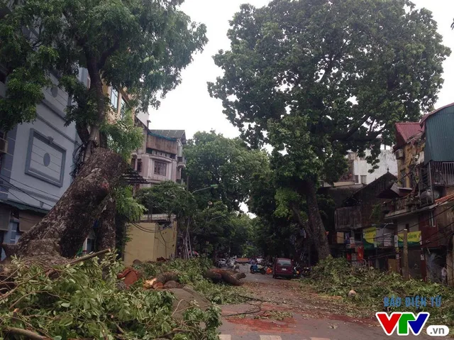 (Photo: Minh Duc/VTV News)